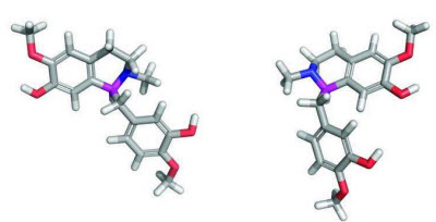 bioingenieria para producir opioides medicinales